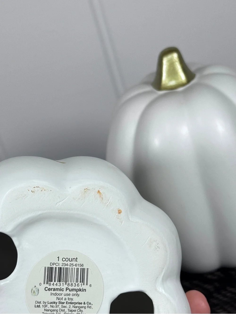 NEW 2026 Target Bullseye Playground Celestial Halloween Pumpkins